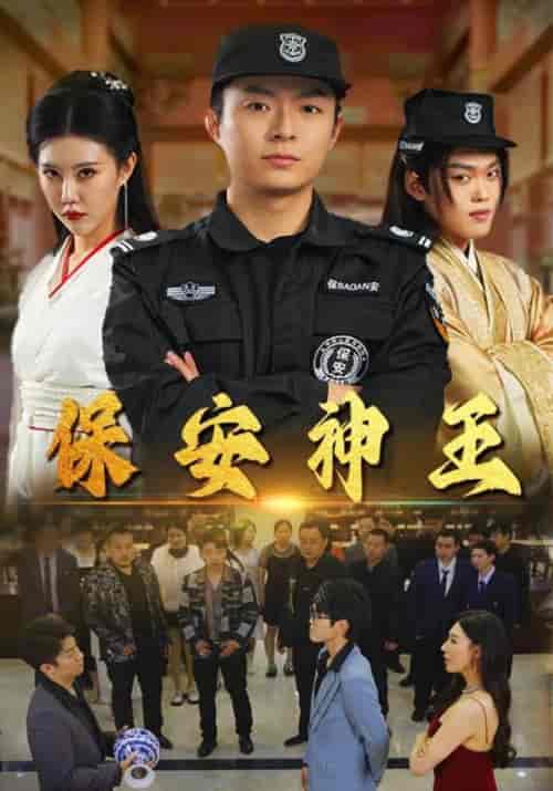 保安神王（67集）周子琪 隋安蓉-搜外项目网