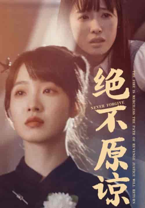 绝不原谅(35集全)赵翔&赵晴-搜外项目网