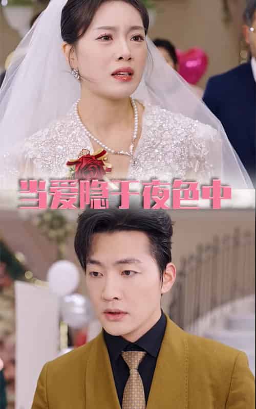 当爱隐于夜色中（37集全）张子唯-搜外项目网