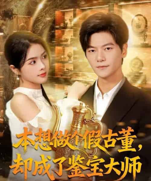 本想做个假古董，却成了鉴宝大师（80集全）刘瀚阳＆刘彦君-搜外项目网