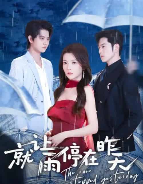 就让雨停在昨天（70集全）聂子轩＆宋晓-搜外项目网