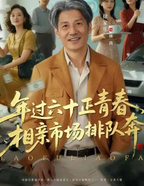 老夫聊发少年狂,保姆成群很正常&年过六十正青春,相亲市场排队奔(73集全)谢昀&徐家乐-搜外项目网