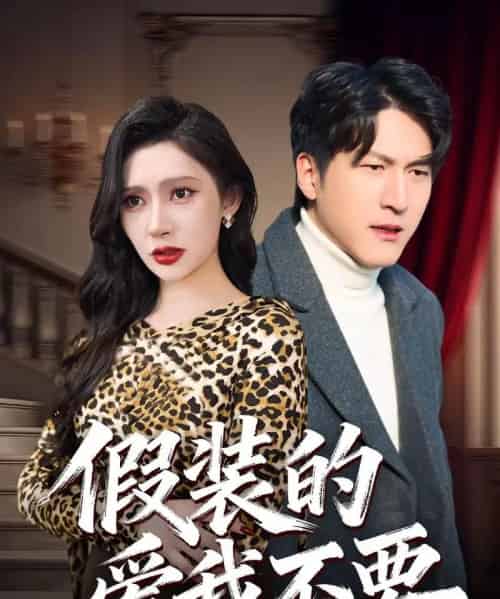 假装的爱我不要(44集全)王安忆&李恒臻-搜外项目网