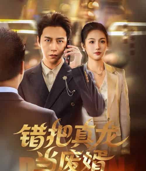 错把真龙当废婿（60集）孙雪阳＆舒萱-搜外项目网