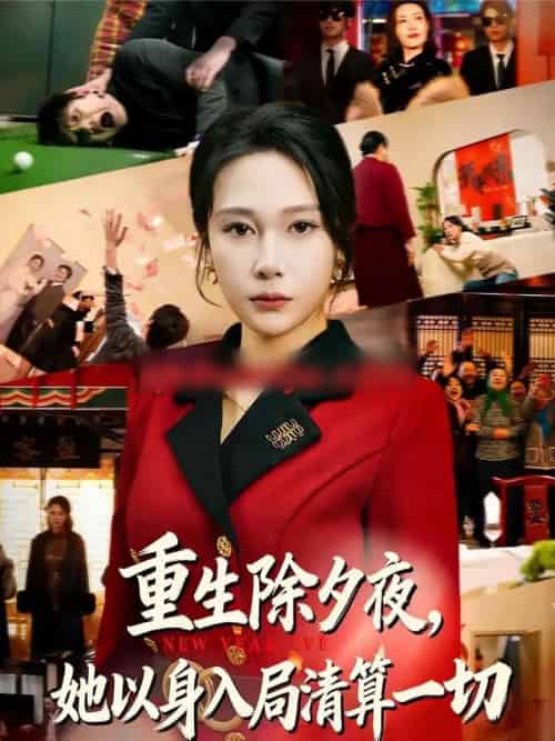 重生除夕夜，她以身入局清算一切（80集全）吴帆＆惠浩-搜外项目网