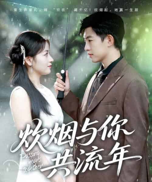 炊烟与你共流年(80集全)许鹏&孟天音-搜外项目网