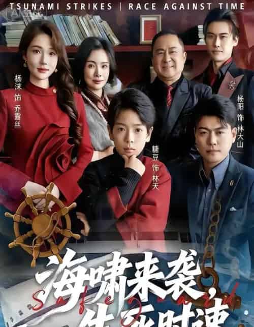 海啸来袭，生死时速（60集全）袁诗昂＆杨沫-搜外项目网