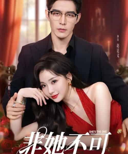 非她不可（88集）赵廷义＆邓灵枢-搜外项目网