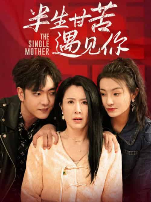 半生甘苦遇见你（60集全）刘美希-搜外项目网