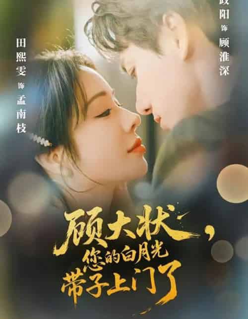 顾大状,您的白月光带子上门了(66集全)陈政阳&田熙雯-搜外项目网
