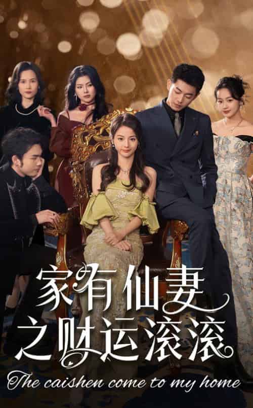 家有仙妻之财运滚滚(62集全)李泉成&马倩倩-搜外项目网