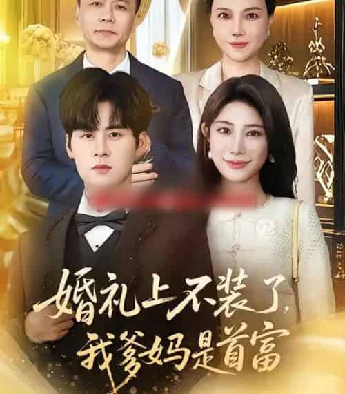 婚礼上不装了，我爹妈是首富（60集全）毛家和＆龙宇婧-搜外项目网