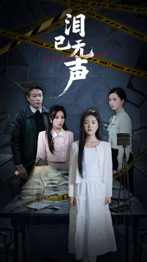 泪已无声（32集全）陈墁柯-搜外项目网