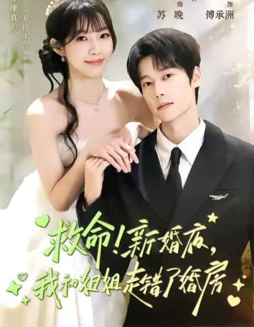 救命！新婚夜，我和姐姐走错了婚房（58集全）盛一辰＆赵偲佟-搜外项目网