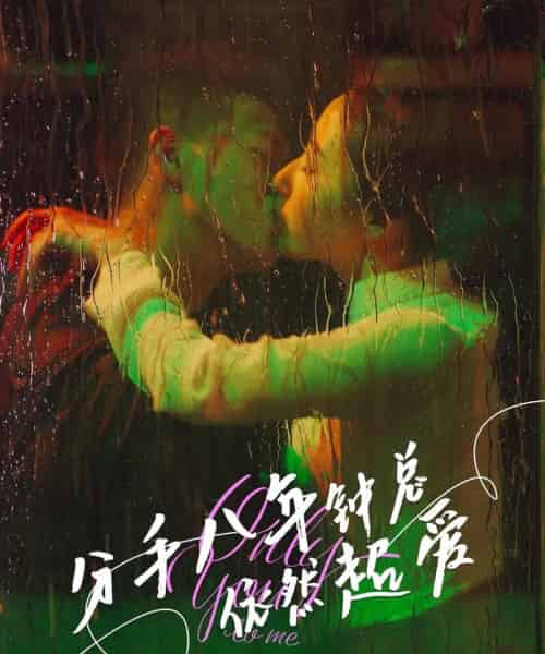 分手八年钟总依然超爱（81集）柴昊辰＆徐忠慧-搜外项目网