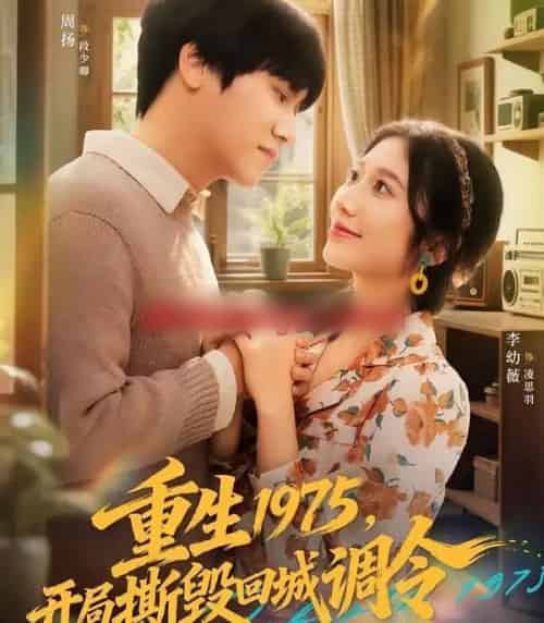 重生1975，开局撕毁回城调令（75集全）凌思羽＆段少卿-搜外项目网