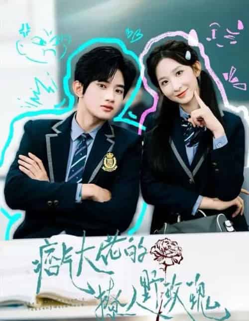 痞气大佬的撩人野玫瑰（80集全）李悦暄＆王浩宇-搜外项目网