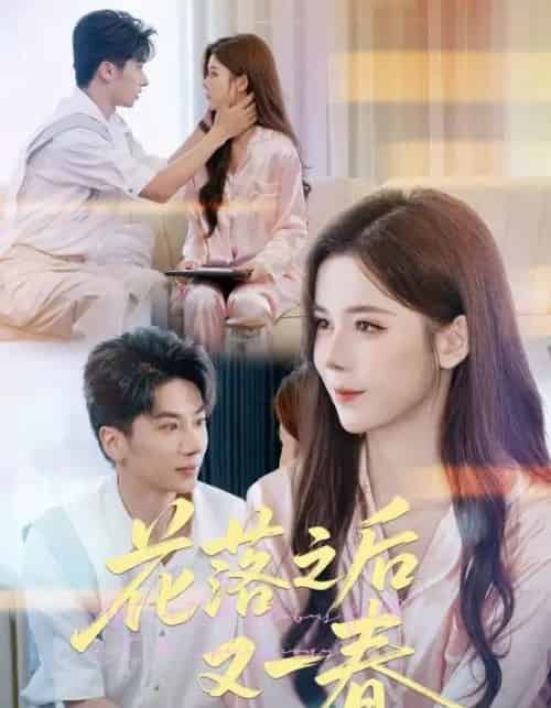 花落之后又一春（60集全）王宜洋＆苏弋涵-搜外项目网