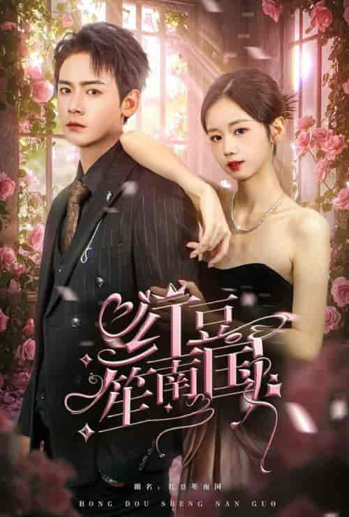 红豆笙南国（64集全）曾乙同-搜外项目网