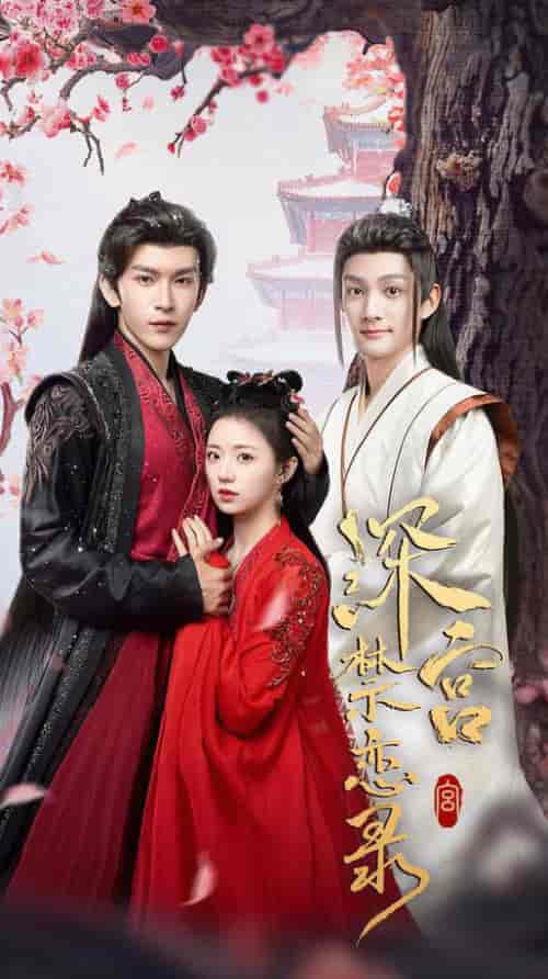 深宫禁恋录（69集全）沈照程＆时童-搜外项目网