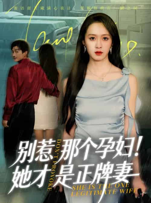 别惹那个孕妇!她才是正牌妻(66集全)王嘉嘉&黄昱清-搜外项目网