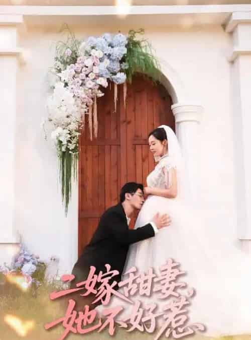 二嫁甜妻她不好惹 (83集全) 庄汐玥&王璐-搜外项目网