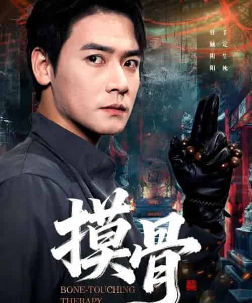 摸骨（74集全）李佳轩＆曾乙同-搜外项目网