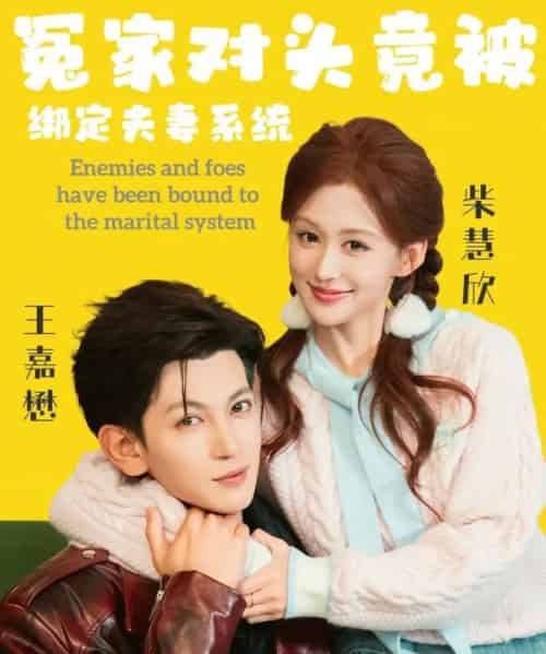 冤家对头竟被绑定夫妻系统(80集全)王嘉懋&柴慧欣-搜外项目网