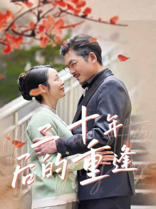 二十年后的重逢(70集全)纪泠希-搜外项目网