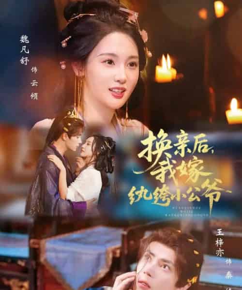 换亲后,我嫁纨绔小公爷(72集全)王梓亦&魏凡舒-搜外项目网