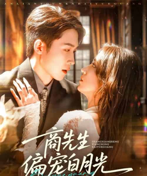 商先生偏宠白月光（70集）彭剑雄＆贾博雅-搜外项目网