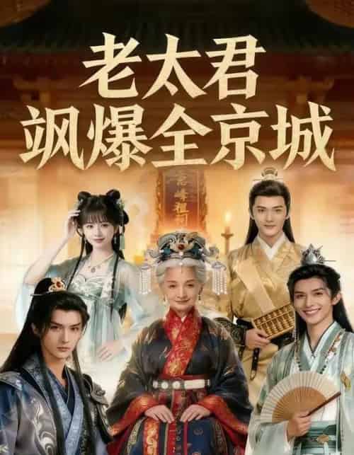 老太君飒爆全京城（80集全）AI-搜外项目网