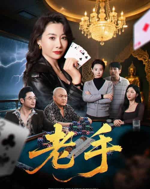 老手（36集）王圻嘉＆袁珉-搜外项目网