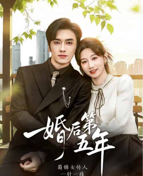 婚后第五年（61集全）王博＆马铭婕-搜外项目网