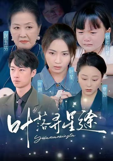 叶落寻星途（61集全）岳玥-搜外项目网