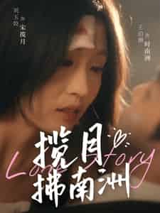 揽月拂南洲(49集全)王泊渊&刘玉姣-搜外项目网