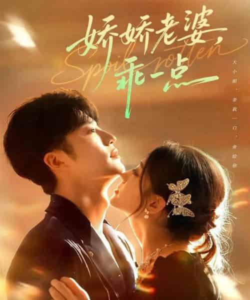 娇娇老婆，乖一点（68集全）王名扬＆李芊乐-搜外项目网