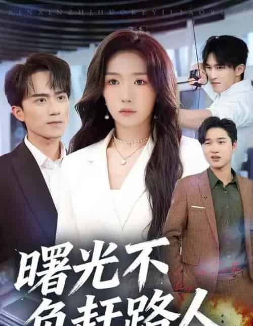 曙光不负赶路人（75集全）姚初淼＆李永臻-搜外项目网