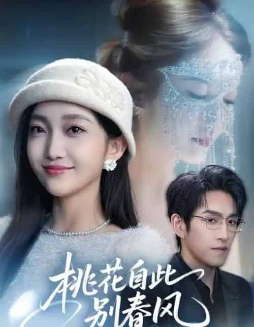 桃花自此别春风（62集全）林可汉＆马菲-搜外项目网