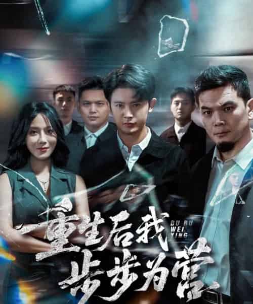 重生后我步步为营 （81集全） 王昭＆郭茗苑-搜外项目网