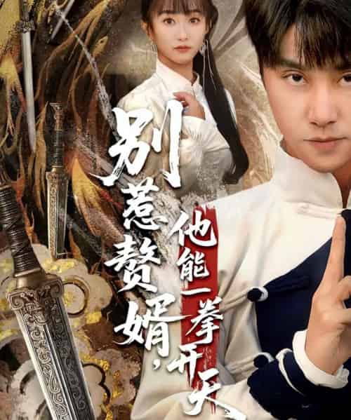 别惹赘婿，他能一拳开天＆假面赘婿，出手定乾坤（67集全）王楚＆孙逸仁-搜外项目网