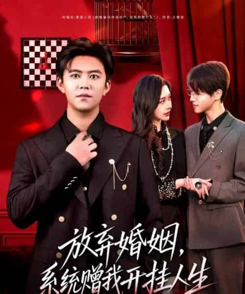 放弃婚姻，系统赠我开挂人生（60集全）王依海＆张子唯-搜外项目网