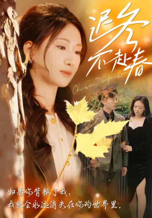 迟冬不赴春（56集全）盛思聿＆安以夏-搜外项目网