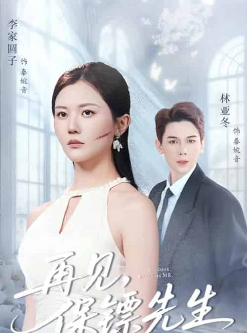 再见保镖先生＆保镖先生我不要你了（51集全）杜亚冬＆李家园子-搜外项目网