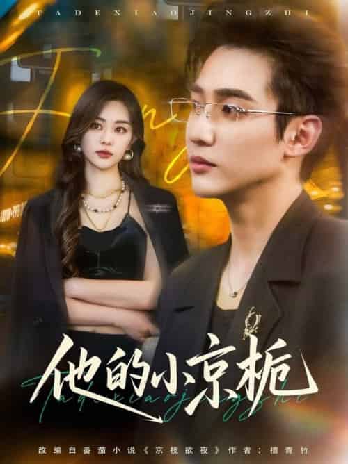 他的小京栀（70集全）孙艺荀＆杨雪玉-搜外项目网