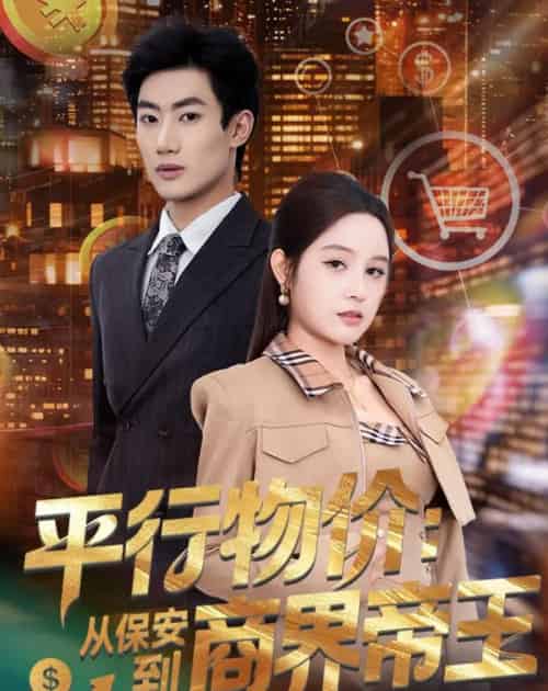 平行物价：从保安到商界帝王（91集全）肖洋＆王羽墨-搜外项目网