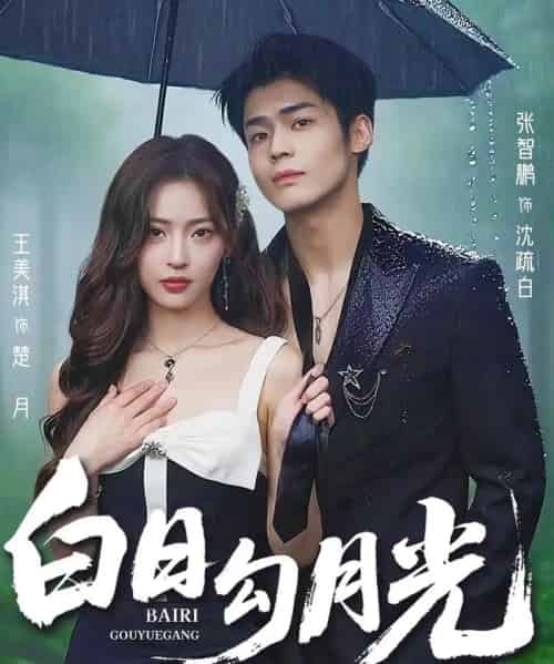 白日勾月光(60集)王美淇&张智鹏-搜外项目网
