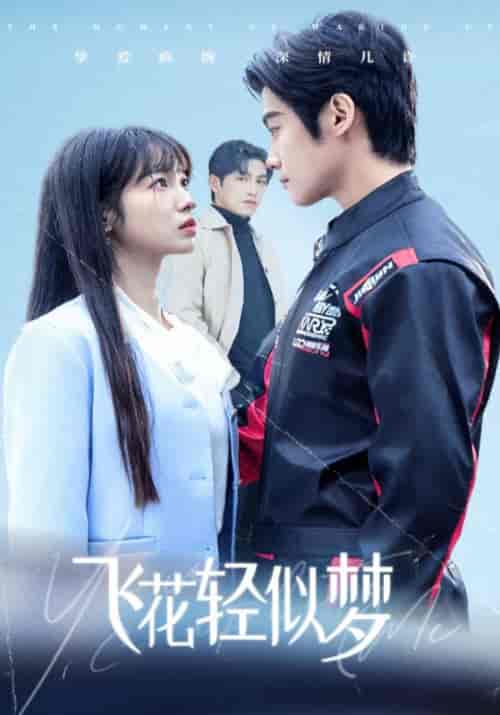 飞花轻似梦（37集全）谢鸿鑫＆陆元-搜外项目网