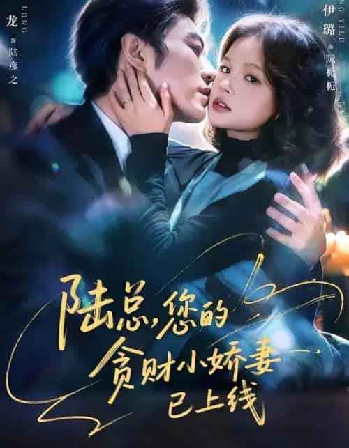 陆总，您的贪财小娇妻已上线（80集全）于龙＆杨咩咩-搜外项目网