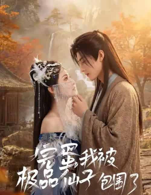 完蛋我被极品仙子包围了(66集全)AI-搜外项目网